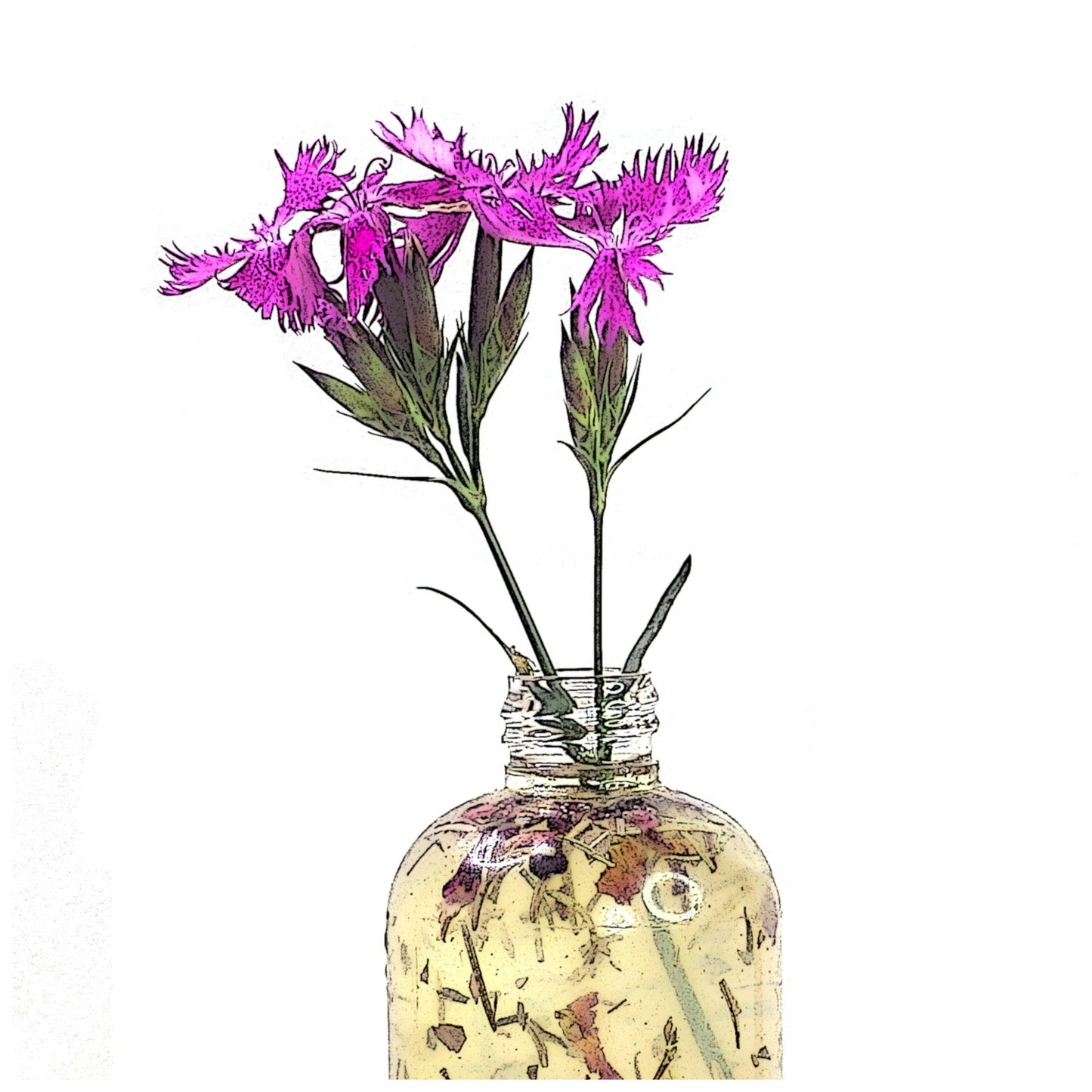 Organic Bath Oils